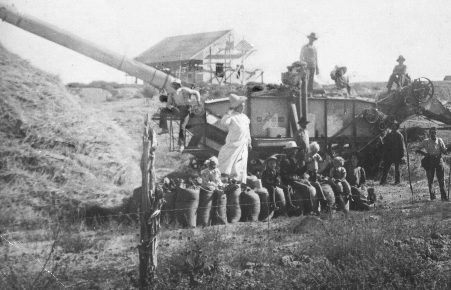 Piloris - Pilates Board